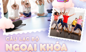 ngoại khóa trường mầm non vcn world: aerobic, yoga, võ thuật